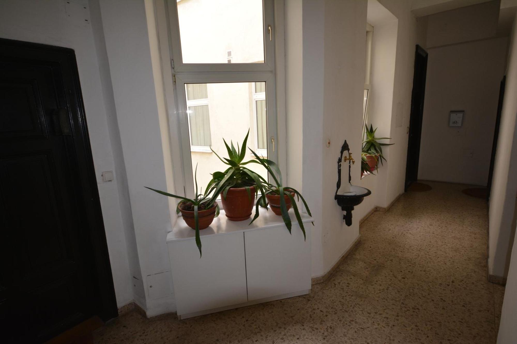 Vienna Holiday Apartments Buitenkant foto